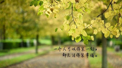 沙漠之恋