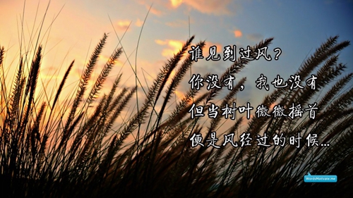 周口商水练集秀秀广场舞 唱春 表演 正背面演示及口令分解动作教学和背面演