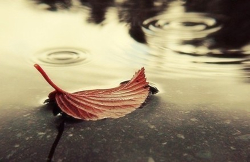 甜蜜的小雨