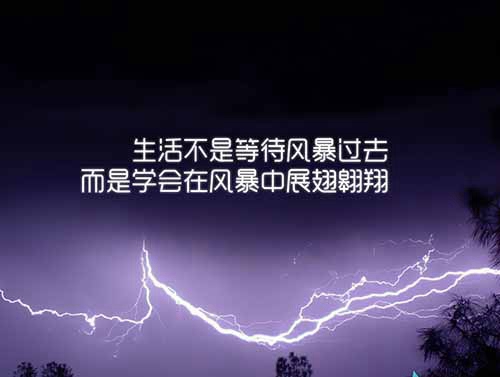 梦之英广场舞《北京的金山上》正背面口令分解动作教学演示