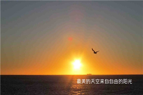 田村薇薇广场舞