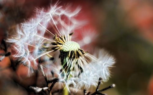 小苹果广场舞中老年小苹果