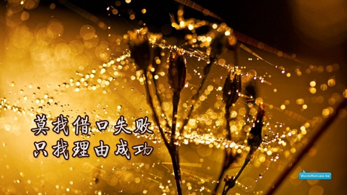 Hello Merry X mas... - 黄凯芹（虚伪的温柔 - 王艺霖）